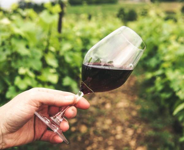 Une verre de vin Abama Hotels Une verre de vin Abama Hotels