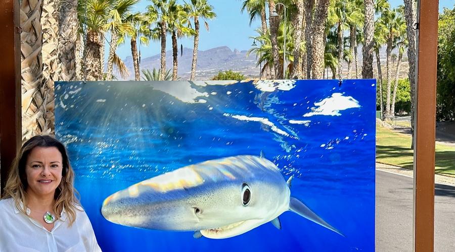 Abama Resort Tenerife acoge la exposición ‘Miradas del Azul’, de la fotógrafa Montse Grillo Abama Hotels Abama Resort Tenerife acoge la exposición ‘Miradas del Azul’, de la fotógrafa Montse Grillo Abama Hotels