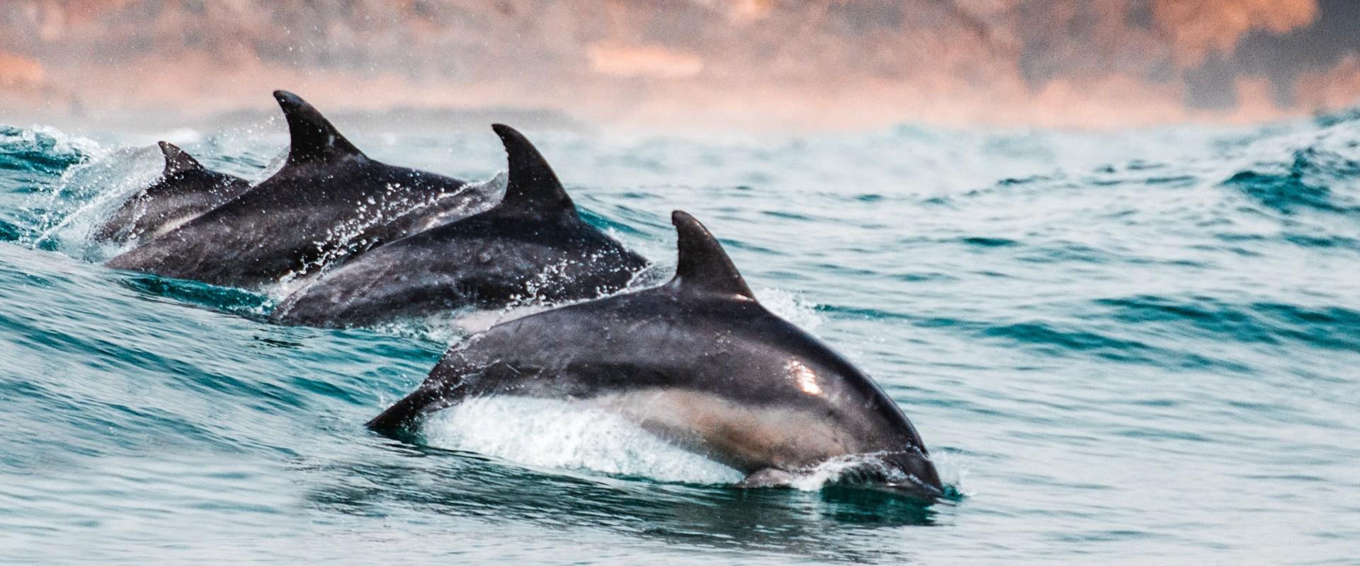 Abama Resort Tenerife 5* Abama Hotels Abama Resort Tenerife 5* Abama Hotels