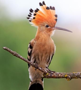 Abama Green Team Abama Hotels Abama Green Team Abama Hotels