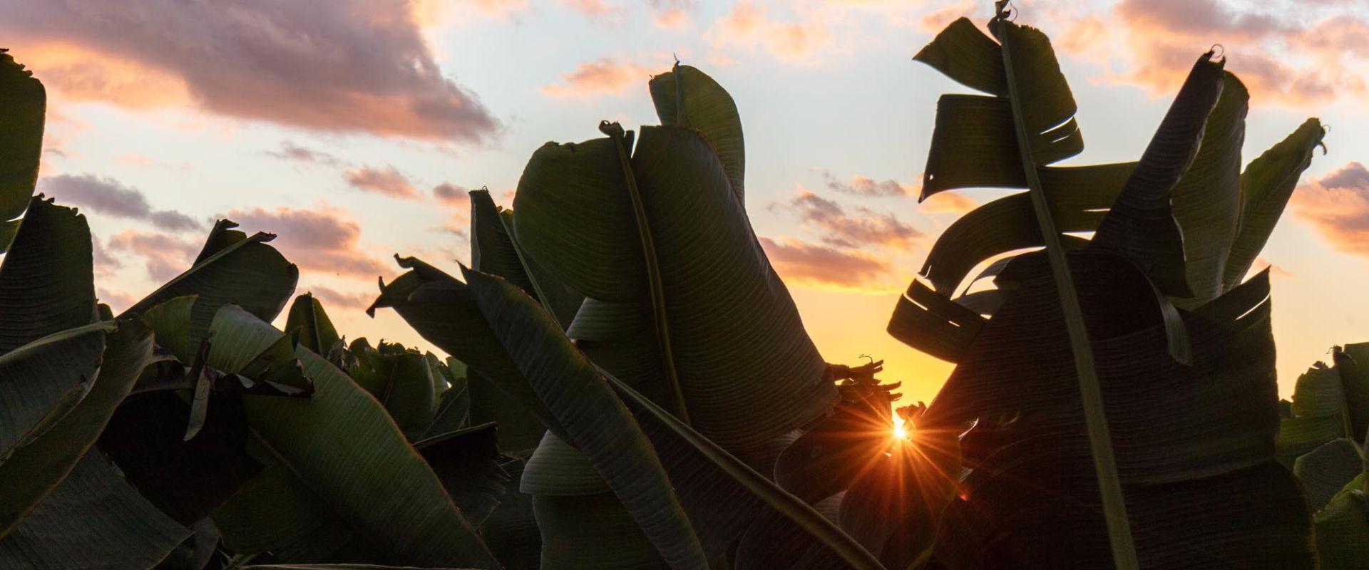 Abama Hotels Abama Hotels