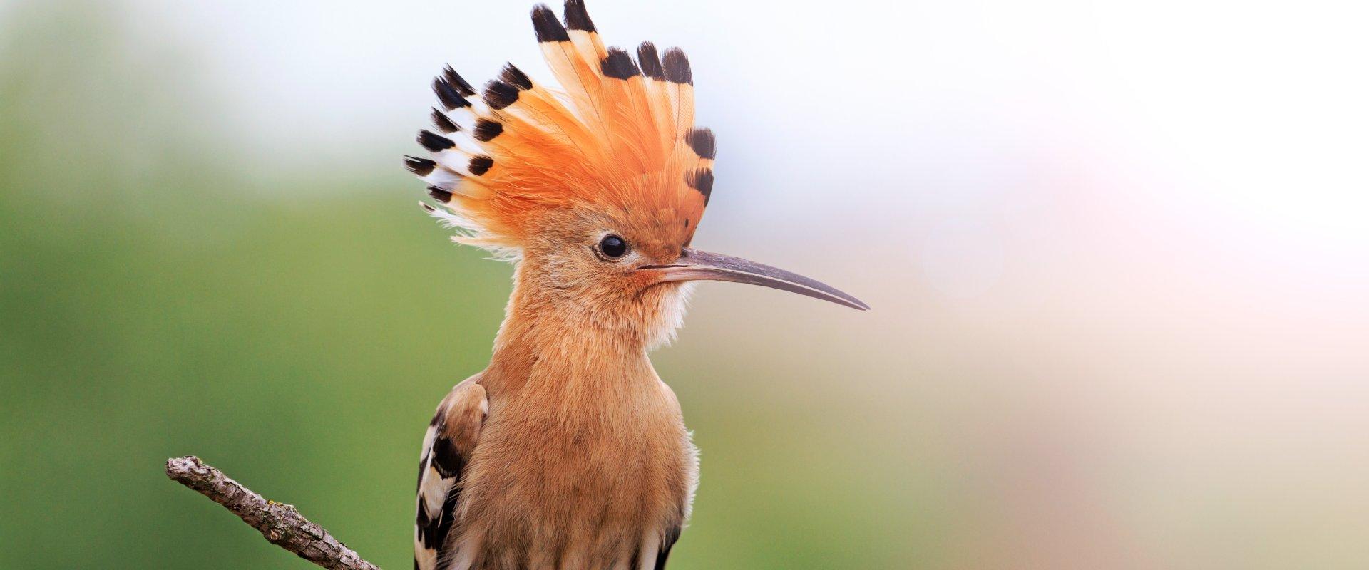 Apuesta por un turismo sostenible Abama Hotels Apuesta por un turismo sostenible Abama Hotels