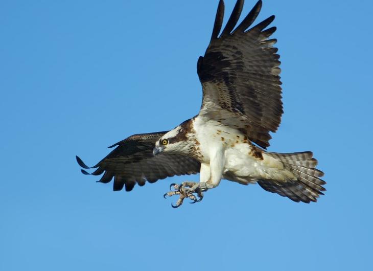 This is how the greens are cared for Abama Hotels This is how the greens are cared for Abama Hotels