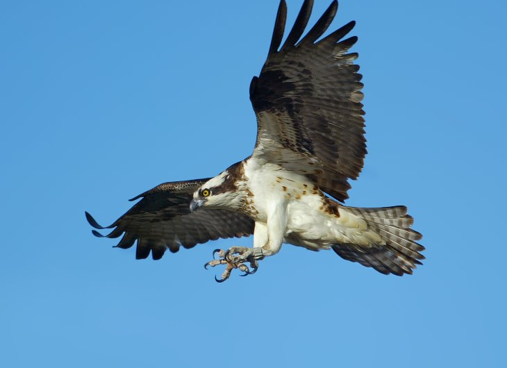 Abama Hotels Abama Hotels