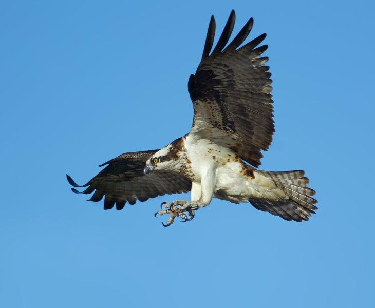 Las Terrazas de Abama Suites Abama Hotels Las Terrazas de Abama Suites Abama Hotels