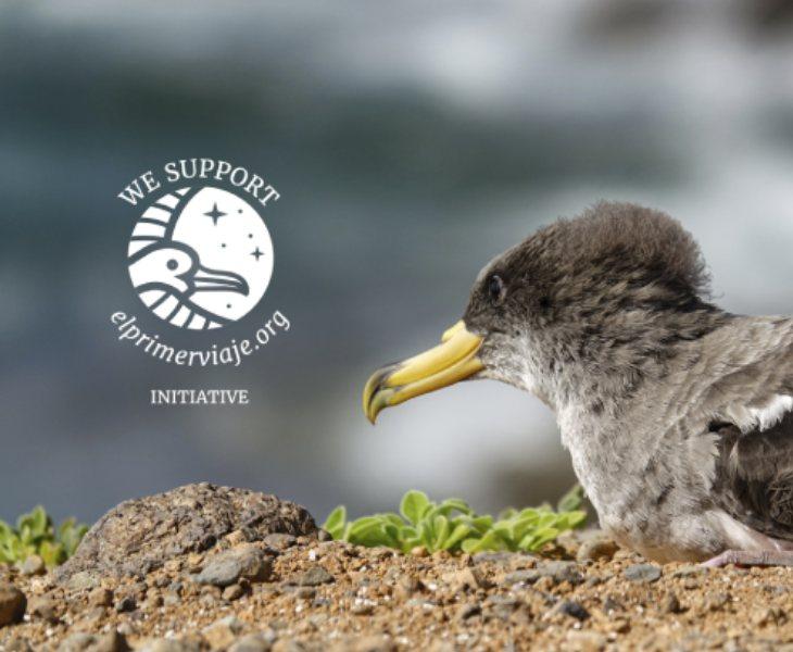 EL PRIMER VIAJE Abama Hotels EL PRIMER VIAJE Abama Hotels